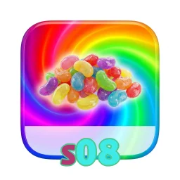 s08